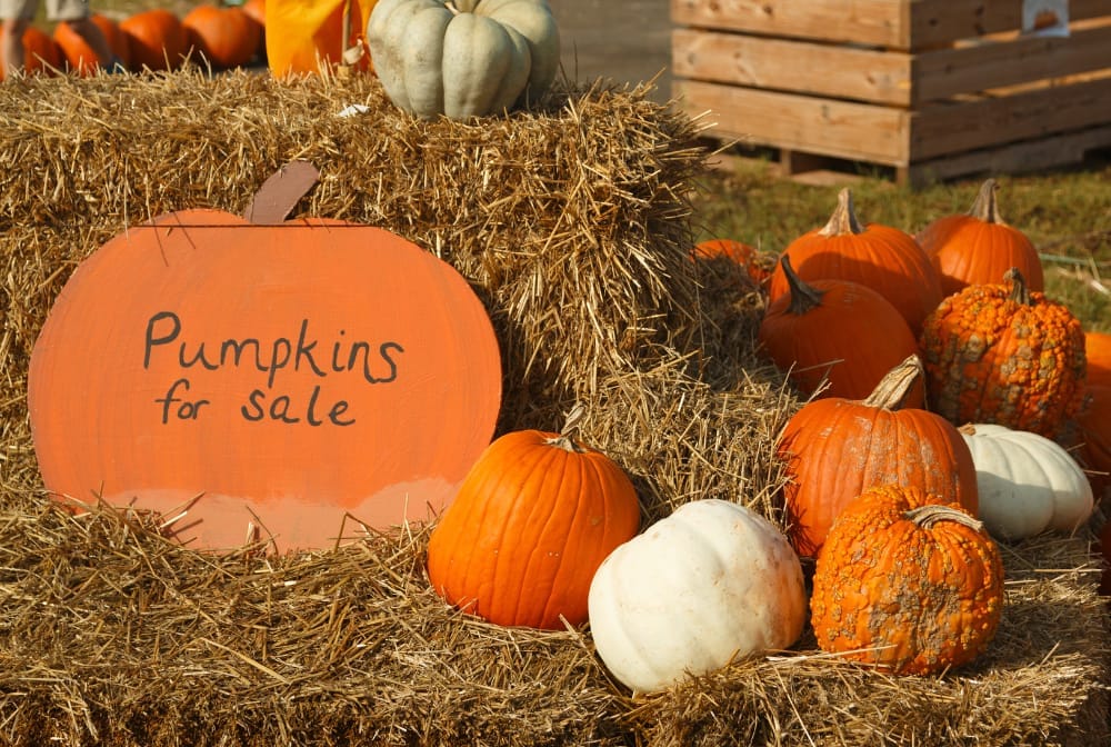 Halloween Events in Gloucestershire