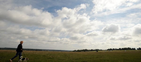 Minchinhampton Common Walks