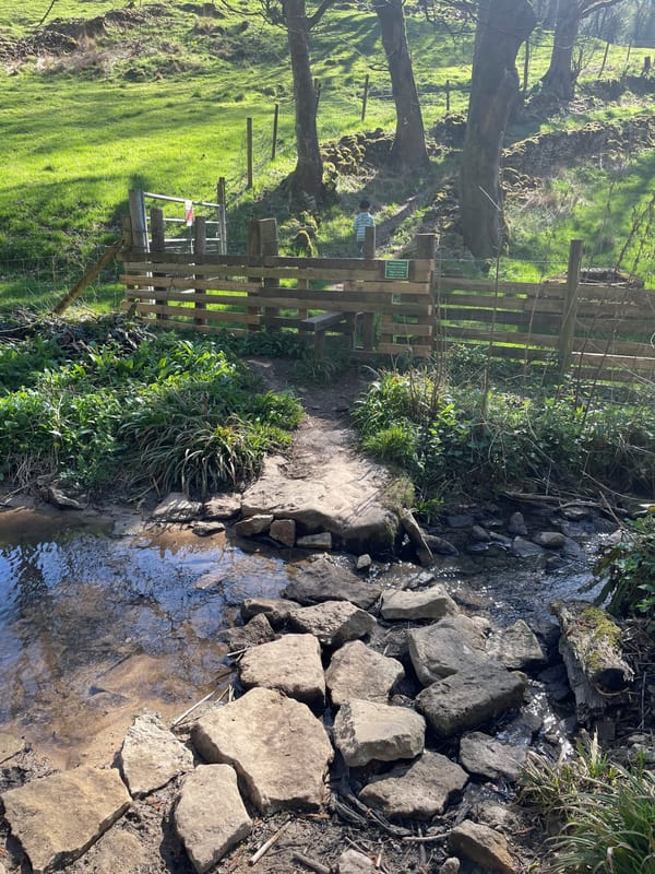 Toadsmoor Pond Walk | Eastcombe