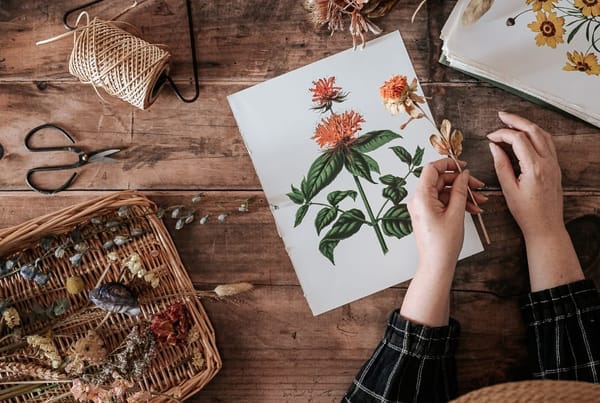 Periscope Present: 'Garden Stories'