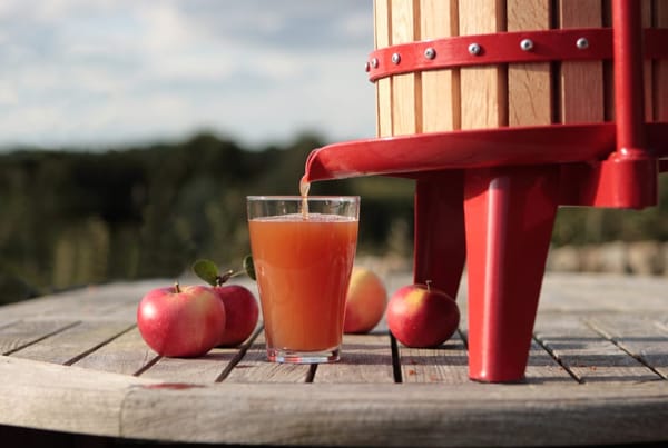 Apple Pressing in The Chantry Centre Garden