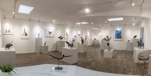 Gallery Pangolin