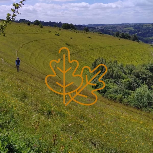 Rodborough Tab Harvest Eco-Fair