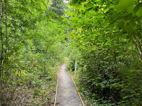 Sladebank Woods