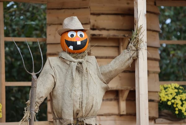 Whiteshill School Scarecrow Trail