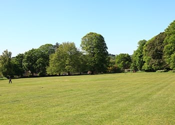 France Lynch Playground