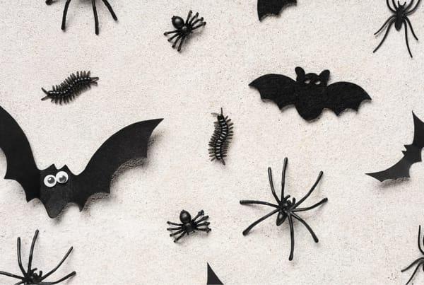 Halloween Anarchy & Amphibians