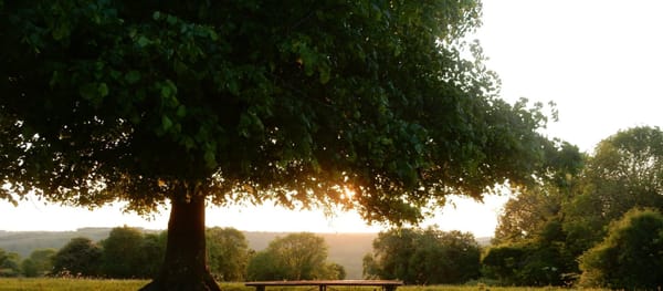 Minchinhampton Common