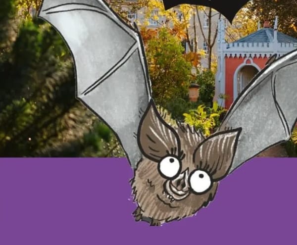 The Big Bat Trail