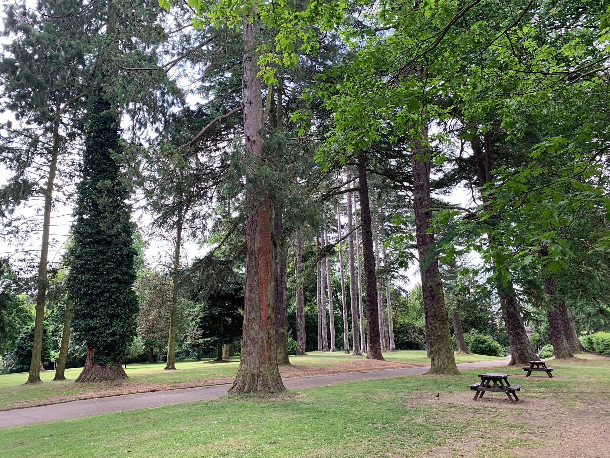 Parks in Stroud