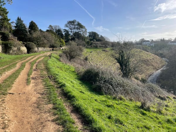 Rodborough common walk