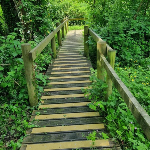 Rackleaze Wetlands Area