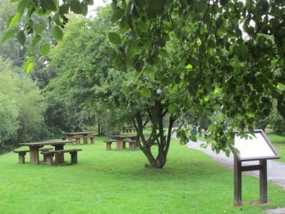 The Tetbury Trail