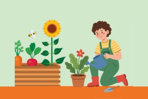Community Garden - Sustainable Slimbridge