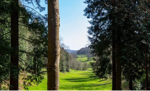Woodchester Park