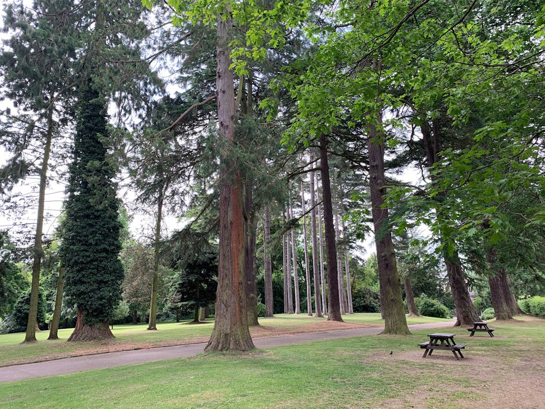 Stratford Park - image 1