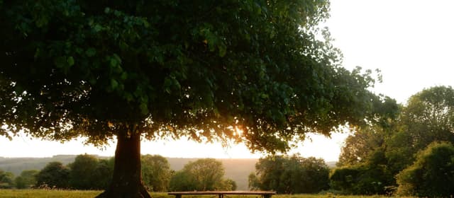 Minchinhampton Common