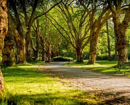 parks-and-walks